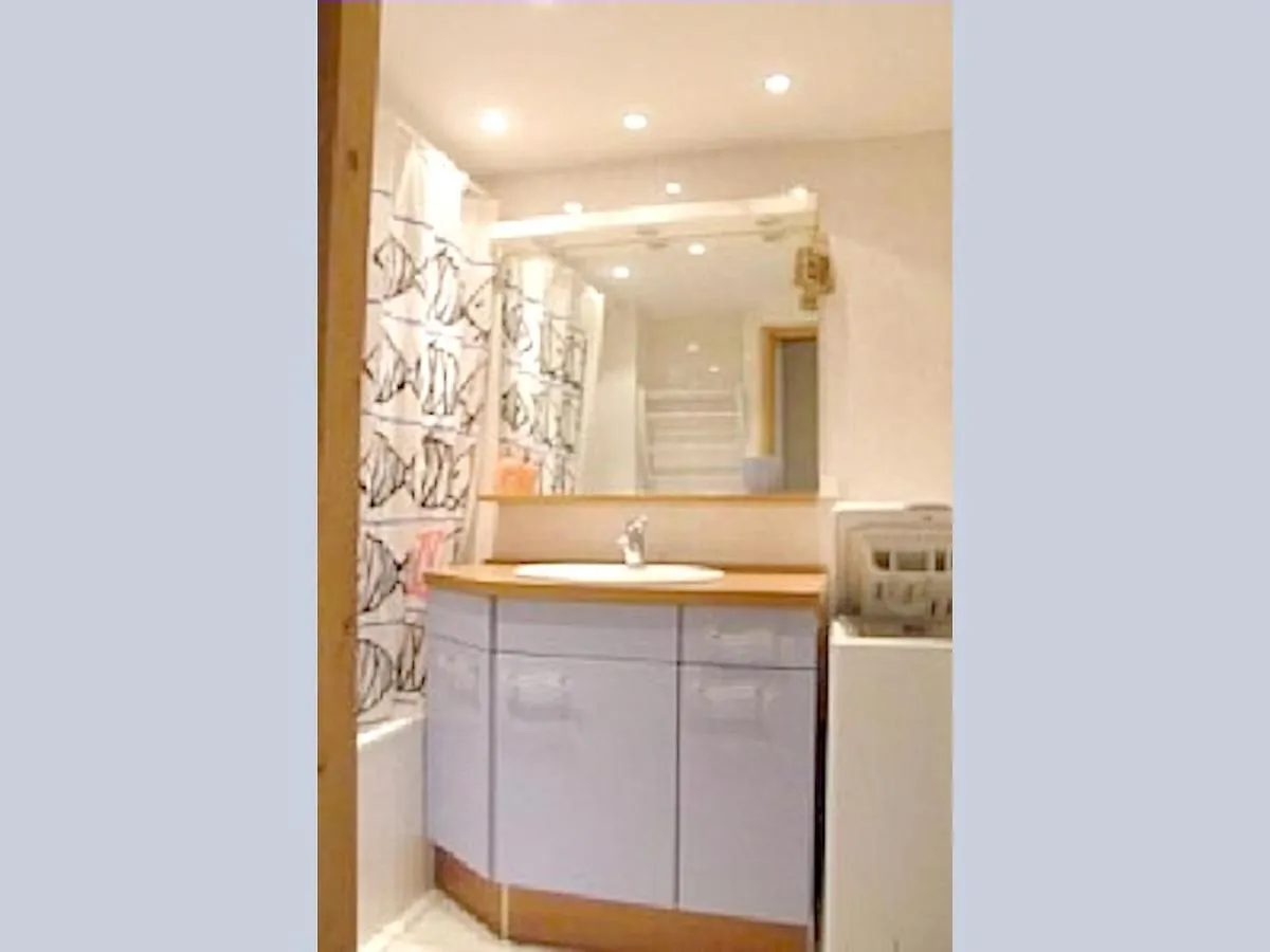 Appartement Charmant Chatel 70 M² + Terrasse France